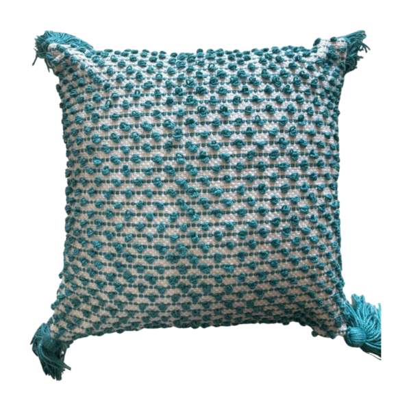 Handwoven Textured Tassel Cushion